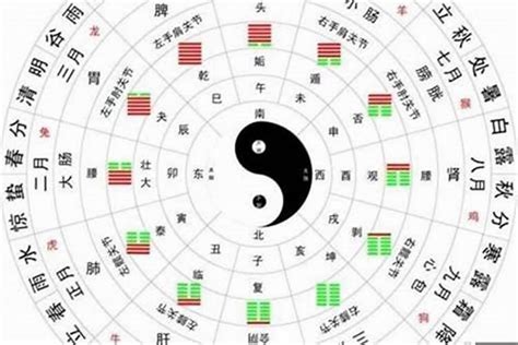 神煞|八字命理—神煞指的是什么？（基础）